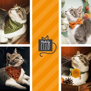 May include: A collage of three images featuring a gray and white cat wearing different fall-themed bandanas. The cat is wearing a green bandana with a leaf pattern, an orange bandana with a floral pattern, and a brown bow tie with orange and white stripes. The text "Made by CLEO" is in the center of the collage.