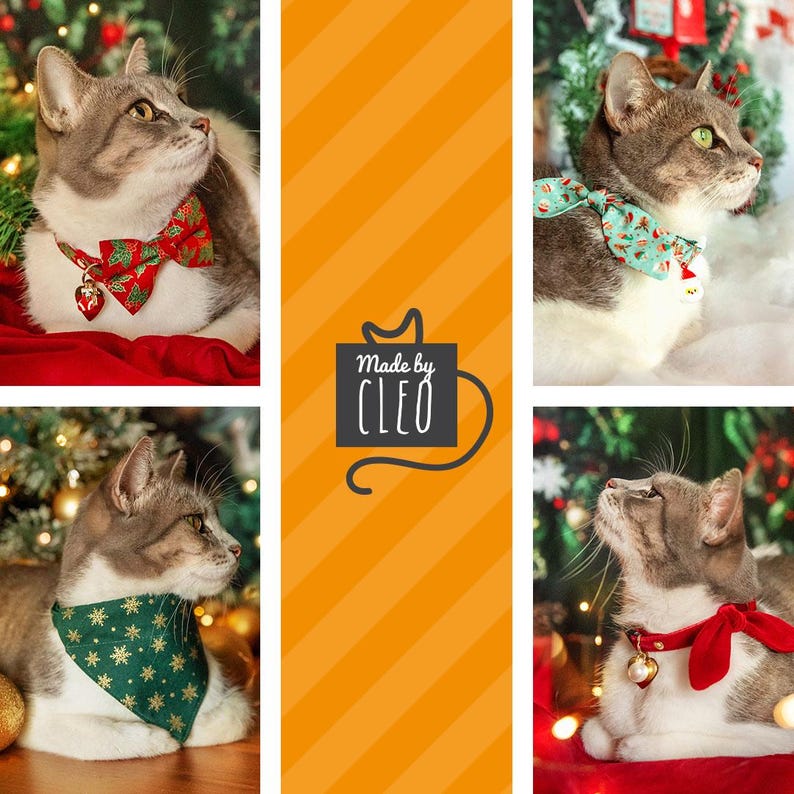 May include: Three gray and white cats wearing festive Christmas bandanas with a red, green, and blue color scheme. The cats are sitting in front of a Christmas tree with lights and ornaments. The image includes the text "Made by CLEO".