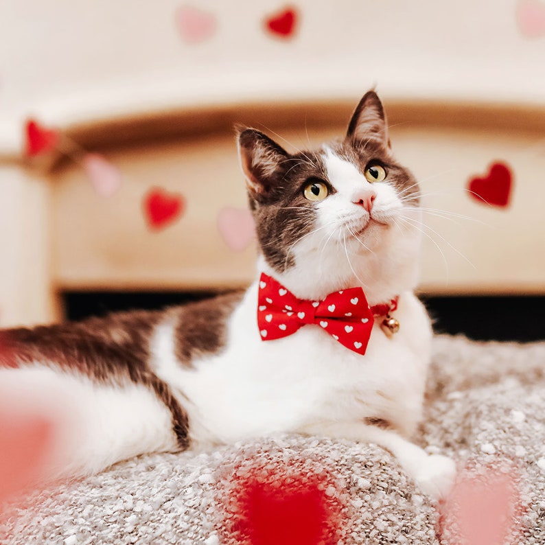 Valentine's Day Cat Bow Tie Love Song White Hearts on Red Bow Tie for Cat Collar / Cat, Kitten Small Dog Bow tie image 2