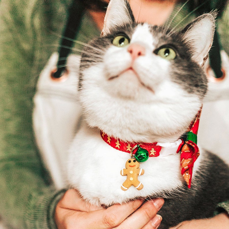 Cat Bell SOLID COLORS / Pet Collar Bells / Cat Collar Bell / Etsy