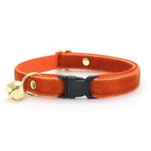 Kitty convict cat id collars hotsell