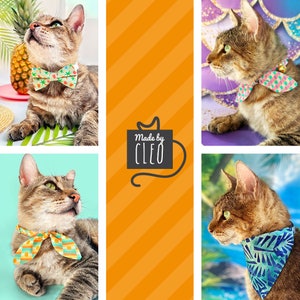 K&ouml;nnte beinhalten: Eine Collage von Bildern mit getigerten Katzen, die bunte Fliegen und Bandanas tragen. Die Fliegen haben tropische Muster mit Ananas und Palmen. Die Bandanas haben blaue und gr&uuml;ne geometrische Designs. Das Markenlogo "Made by Cleo" ist ebenfalls sichtbar.