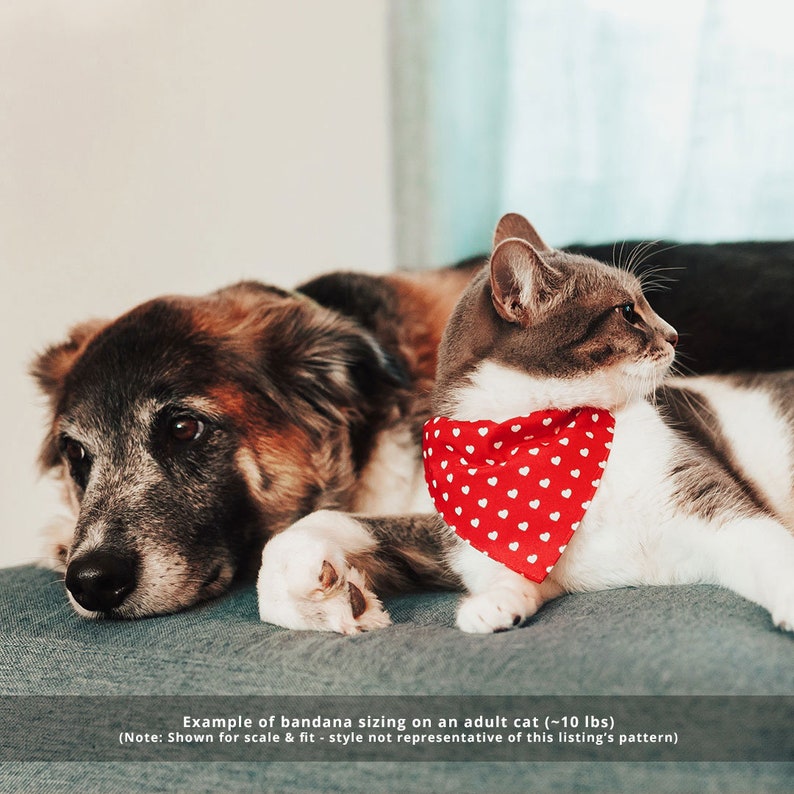 Small Dog Mother/'s Day Slide-on Bandana Over-the-Collar Cat Bandana Cherry Blossoms Teal Mint Spring Floral Bandana for Cat