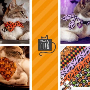 Puede incluir: Accesorios para gatos con tem&aacute;tica de Halloween. La imagen muestra un gato con una pajarita con un dije de murci&eacute;lago, un collar morado con dijes de murci&eacute;lago y calavera, y una bandana. Tambi&eacute;n se muestran varios collares para gatos estampados con motivos de Halloween.