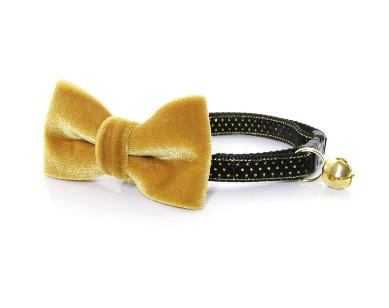 Cat Collar Stardust Black Velvet w/ Gold Dots Etsy