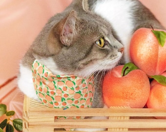 Cat Bandana - "Just Peachy" - Peaches Bandana for Cat + Small Dog / Orange,Peach, Spring, Summer, Fruit / Slide-On / Over-the-Collar Bandana