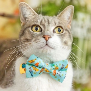 Bow Tie Cat Collar Set - &quot;Birds of a Feather&quot; - Robin&#39;s Egg Blue Bird Cat Collar w/ Matching Bow / Audubon, Sibley / Cat, Kitten, Small Dog