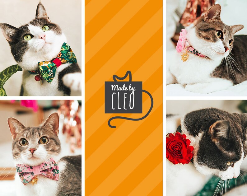 Easter Cat Collar Breakaway easter Egg Pink Etsy