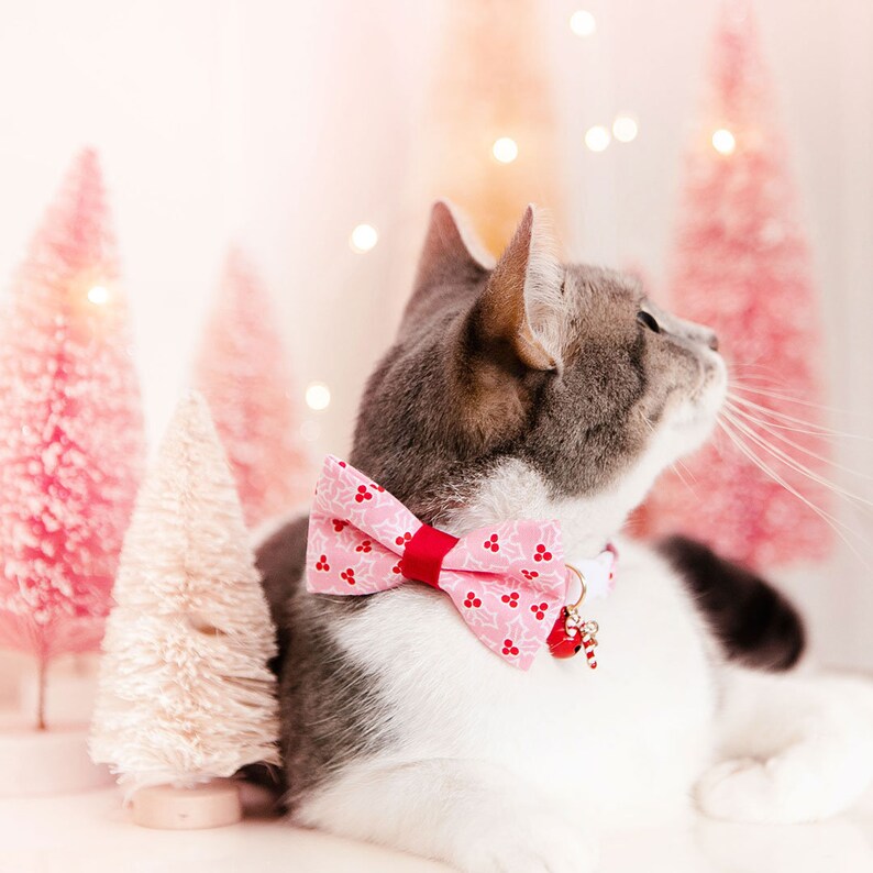 Cat Bell SOLID COLORS / Pet Collar Bells / Cat Collar Bell / Dog Bell / Pet Accessories / Cat Collar with Bell / Jingle Bell 10 COLORS image 9