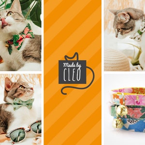May include: Three cats wearing colorful patterned cat collars with bells. The collars are made by Cleo. The image is a collage of three photos.