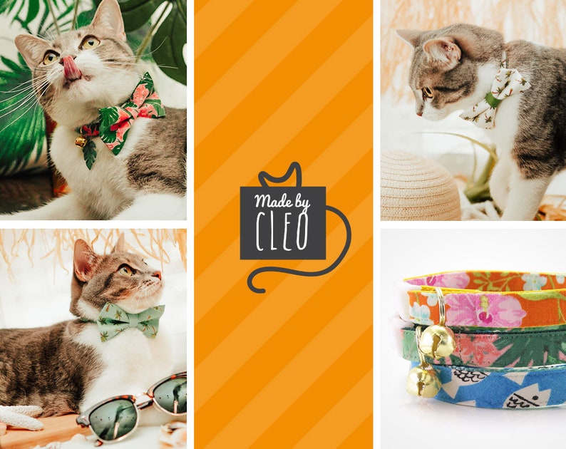 May include: Three cats wearing colorful patterned cat collars with bells. The collars are made by Cleo. The image is a collage of three photos.
