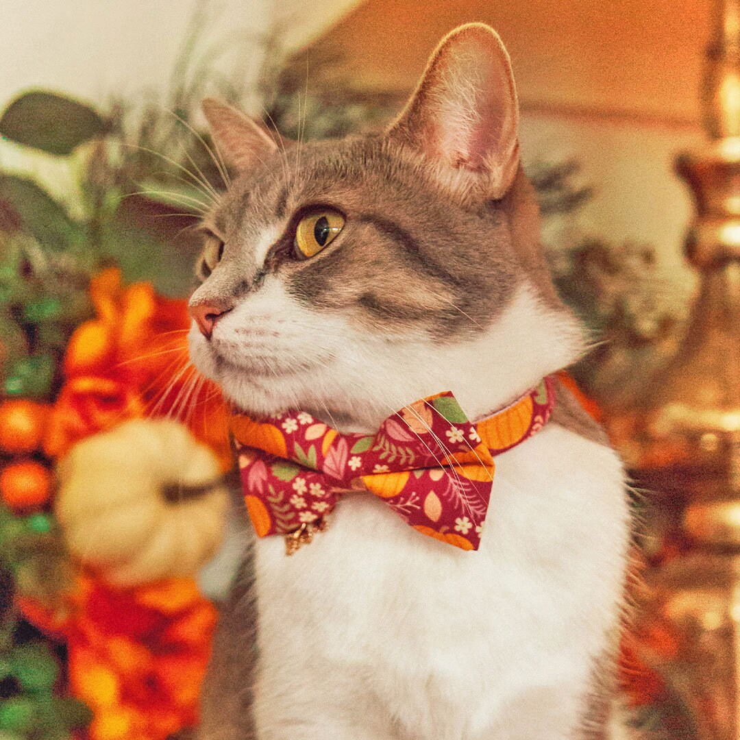 Katzenhalsband Set Für Feiertage – 3 Stück, Mit Fliege & Glöckchen, Verstellbar 18–30 Cm