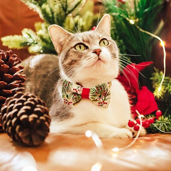 Bow Tie Cat Collar Set pine Berries Garland Holiday Cat Collar W Matching Bowtie Christmas Cat Kitten Small Dog Sizes Etsy UK