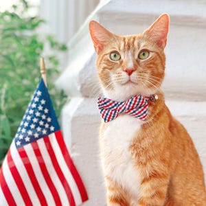 4th of July Bow Tie Cat Collar Set - &quot;Heritage&quot; - Red & Blue Plaid Patriotic Cat Collar w/ Matching Bowtie / Independence Day Cat, Small Dog