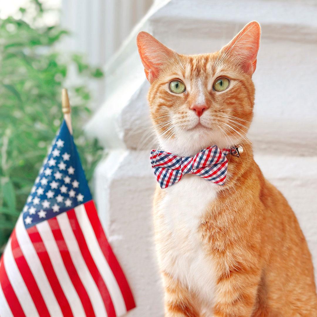 4th of July Bow Tie Cat Collar Set - "Heritage" - Red & Blue Plaid Patriotic Cat Collar w/ Matching Bowtie / Independence Day Cat, Small Dog