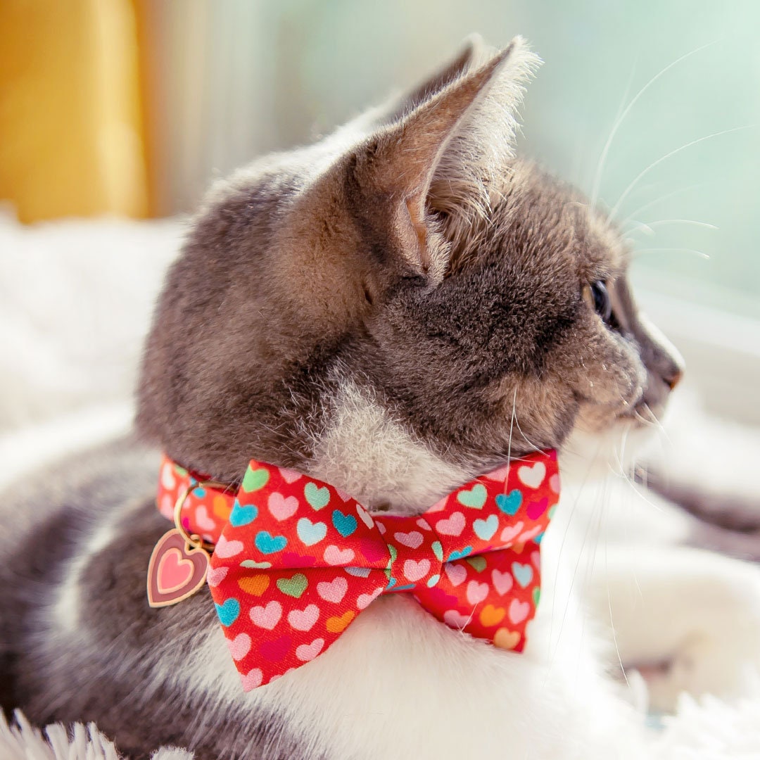 Brown Designer Cat Collar Breakaway - Bow tie Removable Kitten