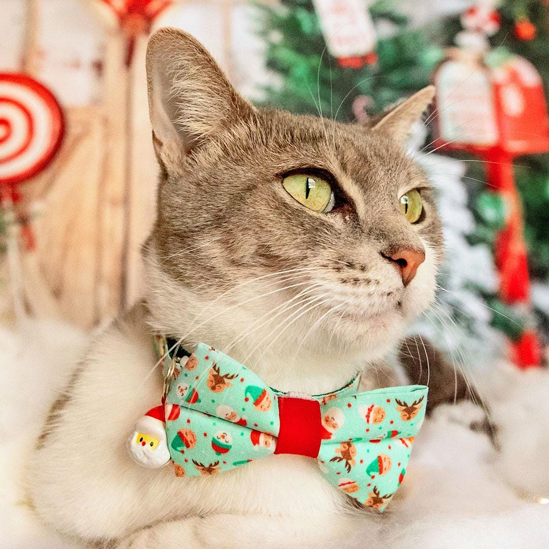 OOPSDOGGY Katzenhalsband Leder Mit Glöckchen - Ref Produktbild-Vorschau 4