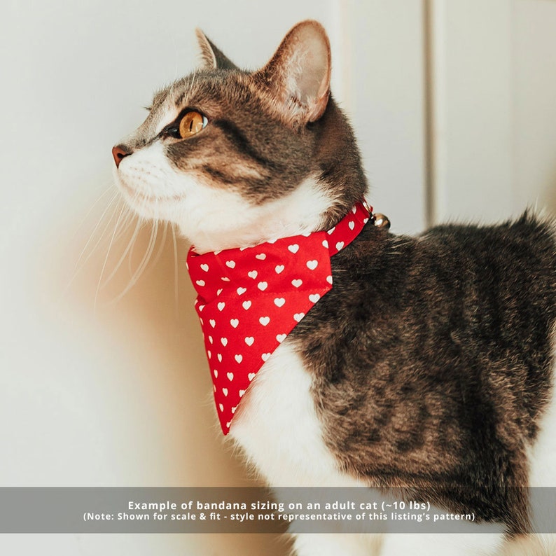 Small Dog Mother/'s Day Slide-on Bandana Over-the-Collar Cat Bandana Cherry Blossoms Teal Mint Spring Floral Bandana for Cat