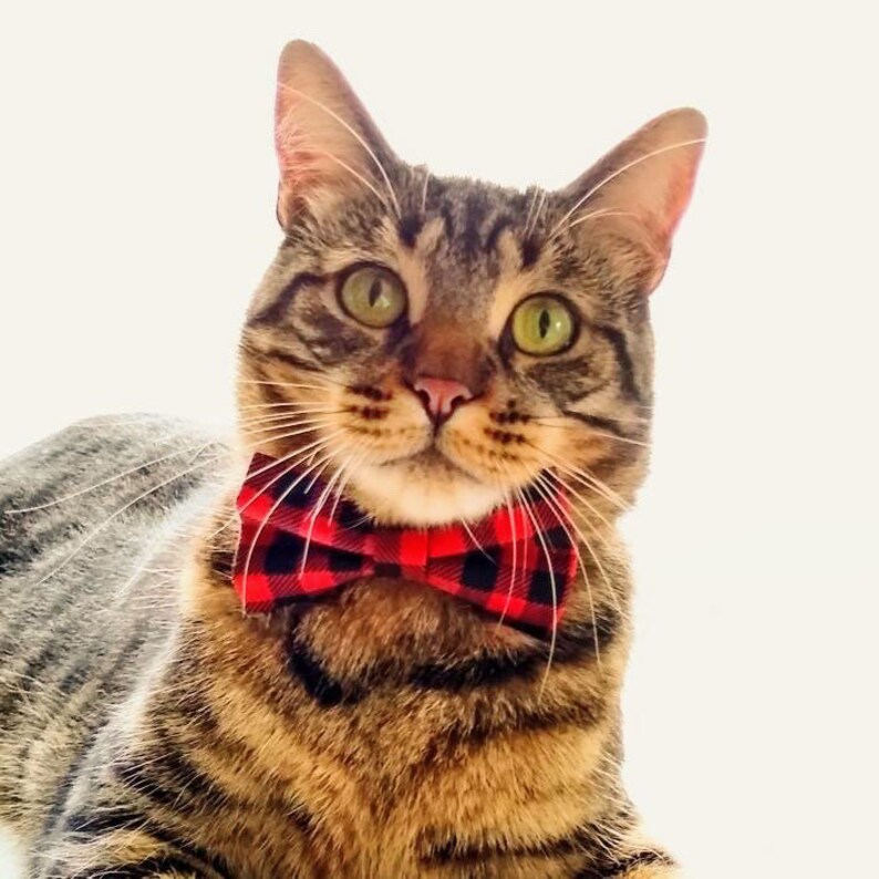 Plaid Bow Tie Cat Collar Set cozy Cabin Red Etsy