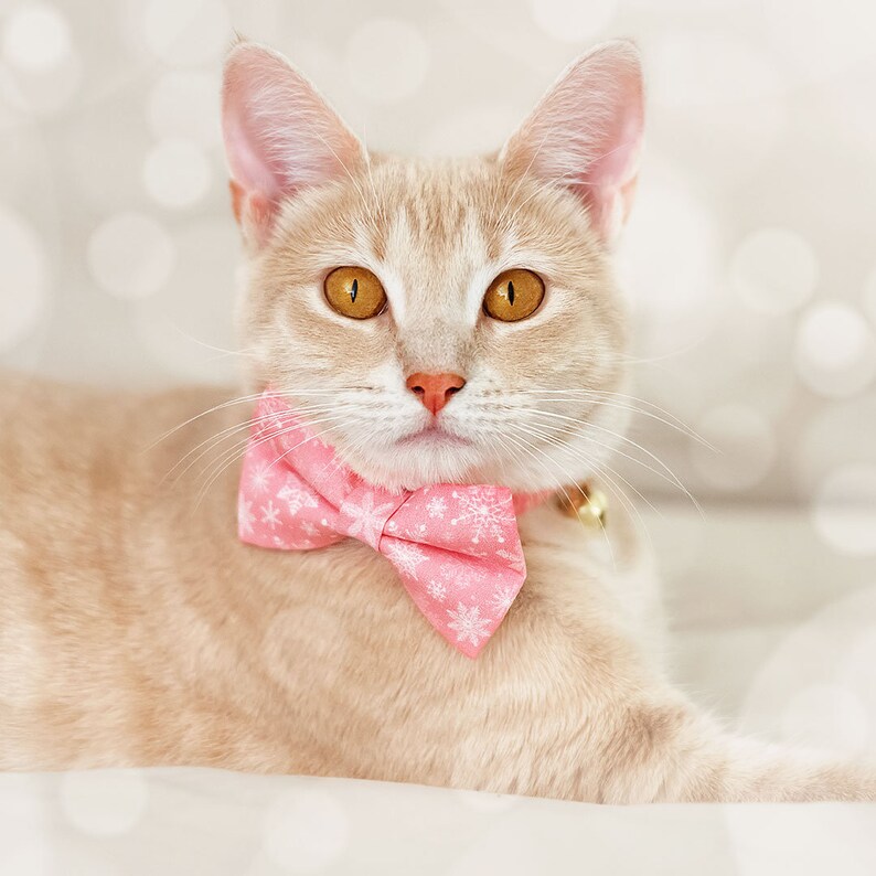 May include: A light brown tabby cat wearing a pink bow tie with a snowflake pattern. The cat is lying down on a white surface with a blurry background.