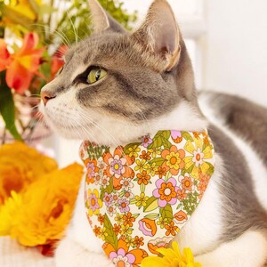 May include: A grey and white cat wearing a white bandana with a colourful floral pattern. The bandana has orange, yellow, pink and green flowers.