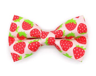 Strawberry Cat Bow Tie - "Strawberry Patch" - Red Berry Fruit Bow Tie for Cat Collar / Fun, Spring, Summer / Cat, Kitten + Small Dog Bowtie