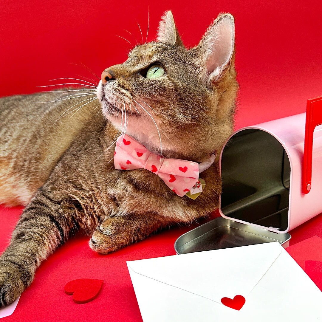 Bow Tie Cat Collar Set - "Sealed With A Kiss" - Valentine's Day Cat Collar w/ Matching Bow / Pink, Love Letter Mail / Cat, Kitten, Small Dog