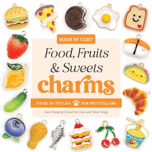 Peut inclure: Une collection de breloques en émail colorées représentant des aliments, des fruits et des sucreries, incluant un burger, une part de pizza, un biscuit, un œuf au plat, du pain grillé, une fraise, un citron, un cornichon, une myrtille et un croissant.