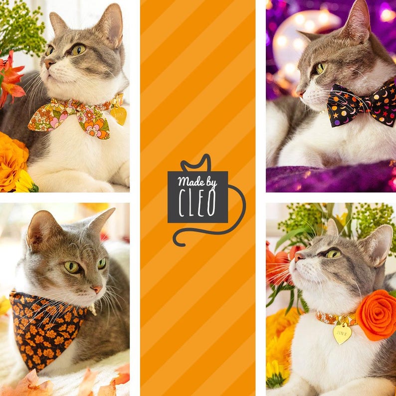 May include: Three grey tabby cats wearing different Halloween-themed collars. The first cat is wearing a floral print collar, the second cat is wearing a black bow tie with white stars and moons, and the third cat is wearing a black and orange bandana with a gold tag that says "Jinx".
