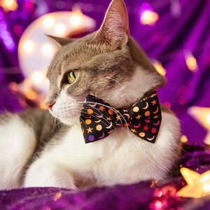 Pu&ograve; includere: Un gatto grigio e bianco con un papillon nero con un motivo di luna e stelle colorate. Il gatto &egrave; sdraiato su una superficie viola con decorazioni dorate a forma di stella.
