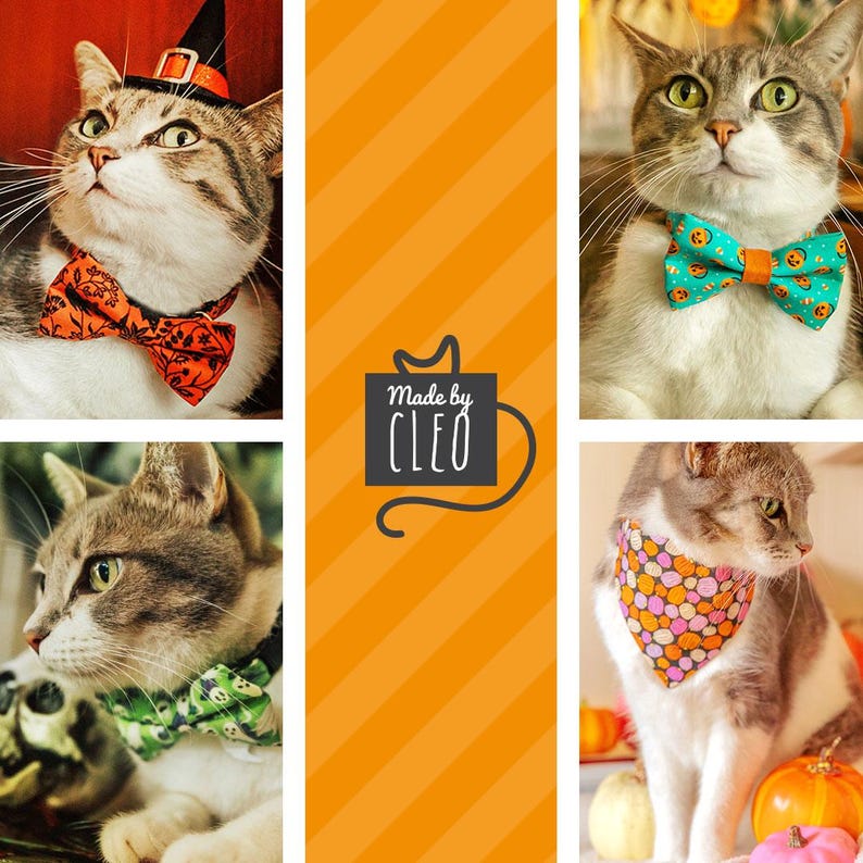 May include: Four cats wearing Halloween-themed bow ties and bandanas. The cats are all grey and white. The bow ties and bandanas feature pumpkins, ghosts, and other Halloween imagery. The text "Made by CLEO" is in the center of the image.