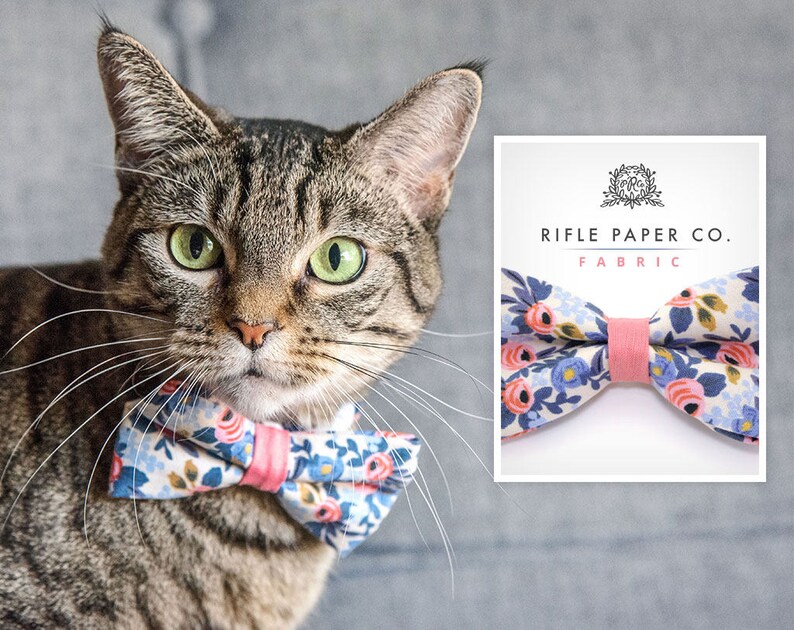 Floral Cat Collar amelie Rifle Paper® Cat Etsy