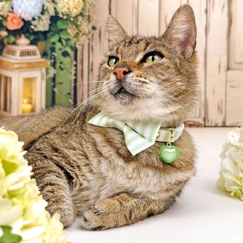 Pastell Katzen Glocke - ""Twinkle Heart Bell"" - Haustierhalsband Glocken / Katzenhalsband Herz Glocke / Hundeglocke / Katzenhalsband mit Glocke / Klingelton Glocke." Bild 3