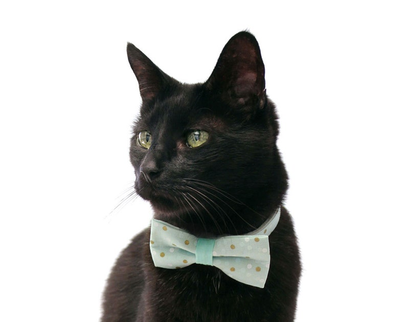 Bow Tie Cat Collar Set Reverie Mint w/ Gold & Etsy
