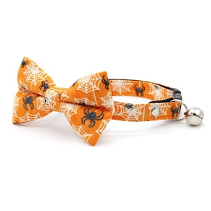 May include: Orange and white cat collar with a black spiderweb and spider pattern. The collar has a bow tie and a bell.