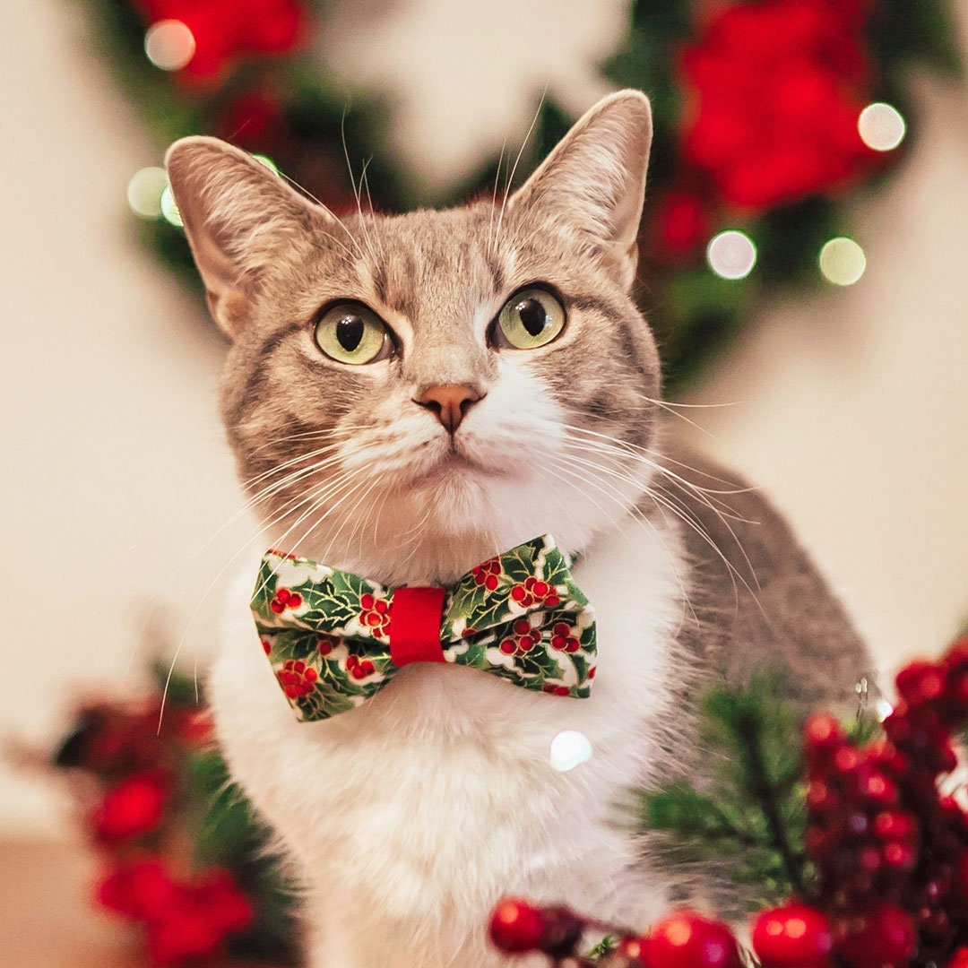 Lot De 2 Colliers De Noël Pour Chat Avec Clochettes Et Nœud Papillon