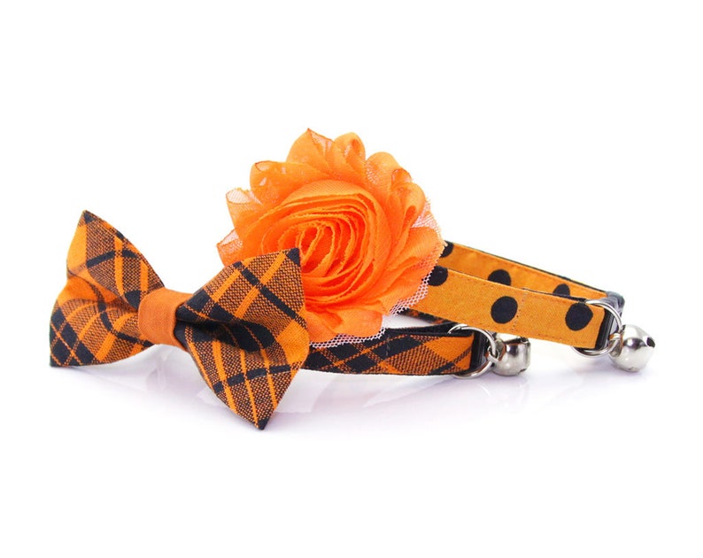 Kitten Small Dog Halloween Cat Collar Black /& Orange Plaid Cat Collar Fall Cat Collar Breakaway or Non-Break Cat Hocus Pocus