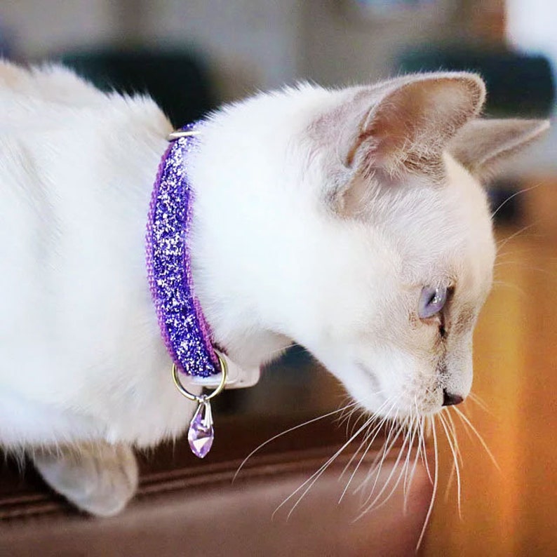 Sparkly Cat Collar Pixie Lavender Purple | Etsy