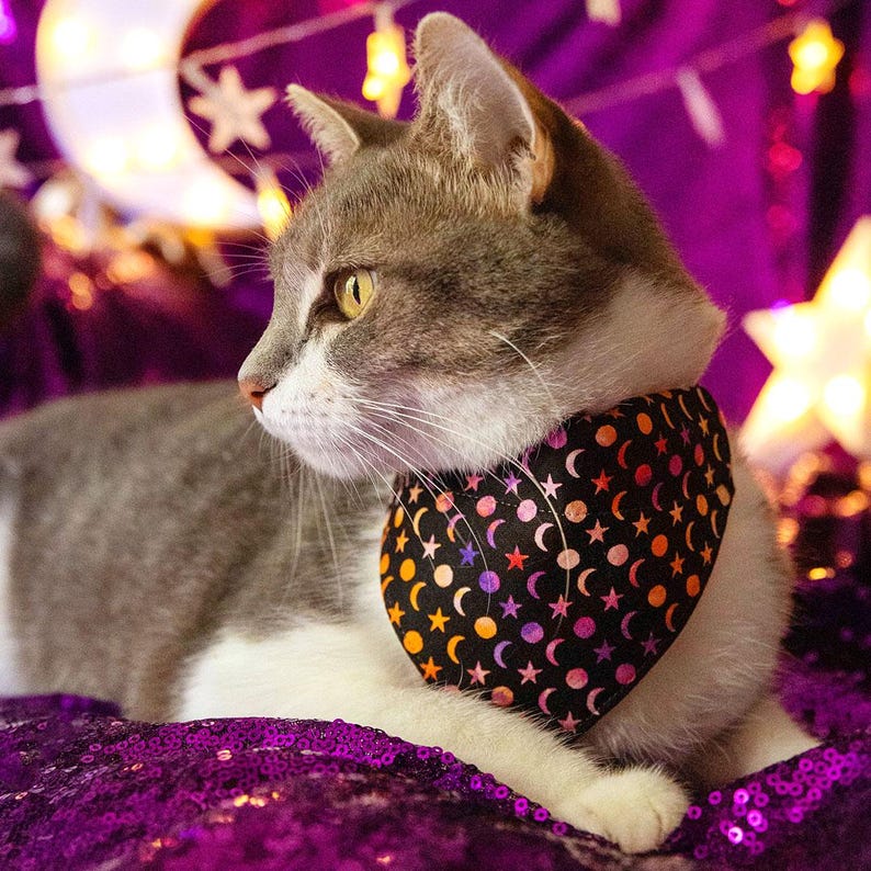 Pu&ograve; includere: Un gatto grigio e bianco che indossa un bandana nero con un motivo di luna e stelle colorate. Il bandana ha una combinazione di colori rosa, arancio e giallo. Il gatto &egrave; sdraiato su una superficie di paillettes viola.