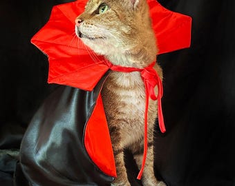 Pet Dracula Costume for Cat + Small Dog / Halloween Photo Prop for Pet / Cat Halloween Costume / Red & Black Satin Cloak Pet Vampire Costume