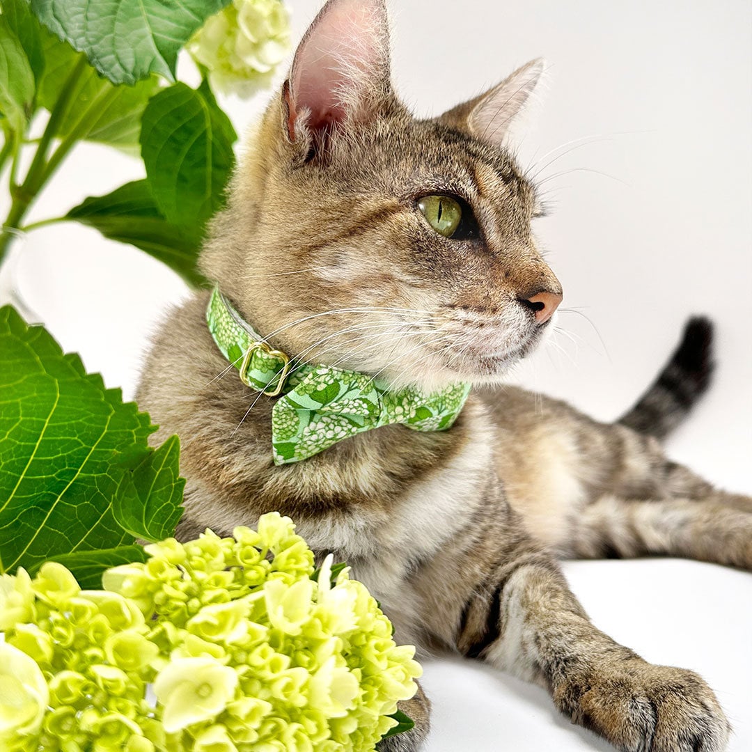 蝶ネクタイ猫用首輪セット - 「アジサイの丘」 - ボタニカルグリーンの