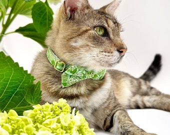 Bow Tie Cat Collar Set - "Hydrangea Hill" - Botanical Green Cat Collar w/ Matching Bow / Spring,Floral,Summer,Plant / Cat + Small Dog Sizes