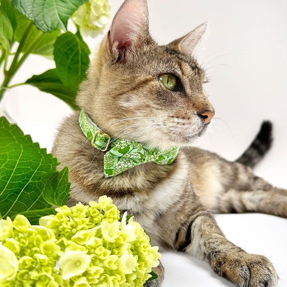蝶ネクタイ猫用首輪セット - 「アジサイの丘」 - ボタニカルグリーンの