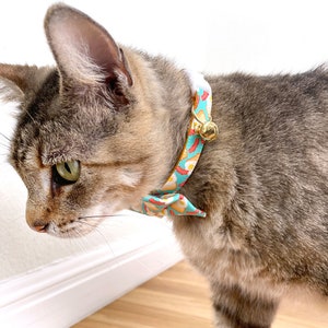 K&ouml;nnte beinhalten: Eine Tabby-Katze tr&auml;gt ein t&uuml;rkisfarbenes und wei&szlig; gemustertes Katzenhalsband mit einer goldenen Glocke. Das Halsband hat eine Schleife mit einem &auml;hnlichen Muster.