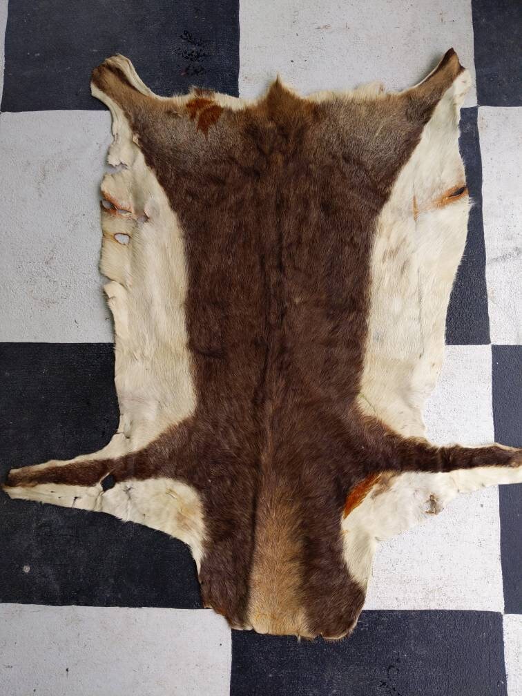 Deer Hide | Etsy