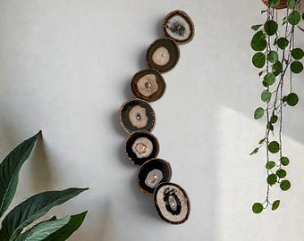 Brazilian Agate Wall Art Set, 7 Slice Rich Brown Statement Installation, Ready to Ship