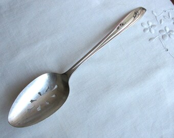 tablespoon hostess gift family dinner holiday utensil Happy Thanksgiving Engraved Serving Spoon