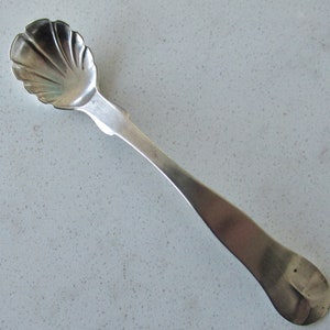 May include: A silver teaspoon with a shell-shaped bowl. The handle is plain and rounded.