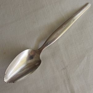 Fruit Spoon in &quot;Grapefruit&quot; Silver Plate Pattern - Vintage