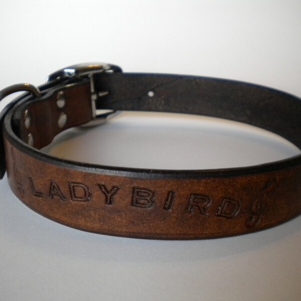 Personalized Large Dog Collar with Phone Number